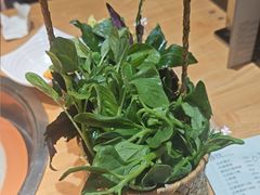 -一朵菌·野生菌探索家火锅(南亚店)
