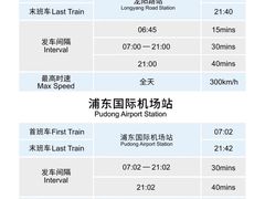 -龙阳路磁悬浮列车总站-停车场