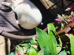 -南屏步行街