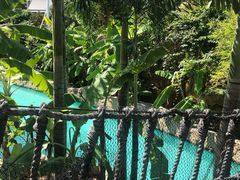 -亚马逊丛林水乐园