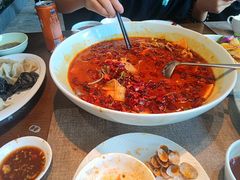 -俏东方·海味水饺·青岛菜(崂山店)