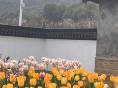 -苏州上方山国家森林公园