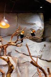 -Zoolung Zoolung动物主题公园(海信广场店)