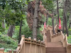 -鲁山国家森林公园