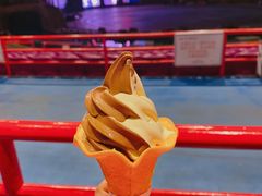 -广州长隆国际大马戏