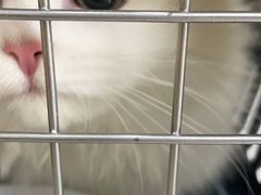 -pd派德宠物中心医院24H急重症·眼科中心·血液透析中心(嵩山北路店)