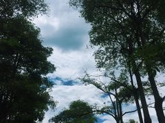 -瑞穗牧场