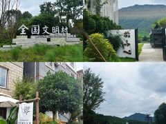 -龙坞茶村