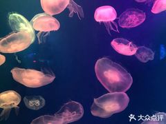 -成都浩海立方海洋公园