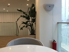 -PETIT PARIS 小巴黎(凯德1818店)