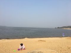 -瑶湖郊野森林公园