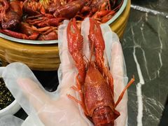 -菜哥龙虾•九江菜(七中店)