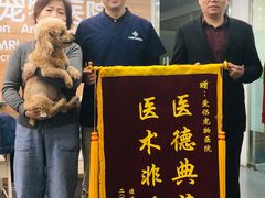 -爱侣宠医·鹦鹉专科·小型哺乳类·异宠专科(灵石路店)