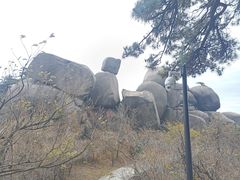 -天柱山风景区