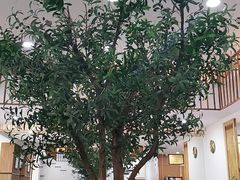 -东升灌浆包(辛庄街总店)