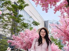 -东莞松山湖万象汇