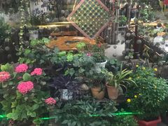 -又见炊烟．纳西小院云南菜
