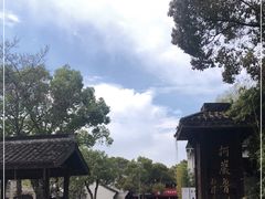 -鲁镇
