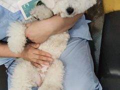 -谐和贝康宠物医院24小时·宠保定点(急重症转诊中心)