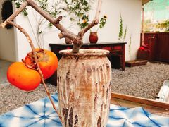 -云里小坐·小院里·团建·宴请·下午茶(三圣乡店)
