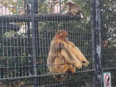 -上海动物园(地铁站)