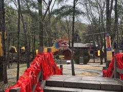-洛阳白云山景区