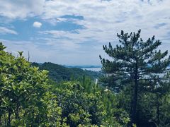 -千岛湖天屿景区