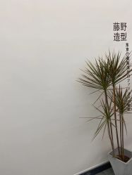 -藤野造型