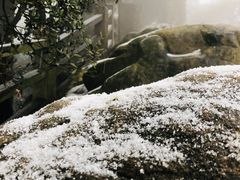 -缙云山景区