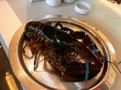 波士顿龙虾-沈阳君悦酒店·意坊意大利餐厅