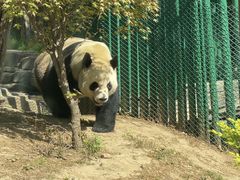 -大连森林动物园