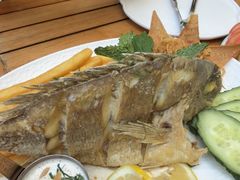 -ELI FALAFEL Lebanese&Mediterranean黎巴嫩美食(富城路店)