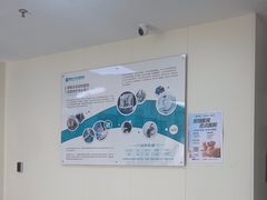 -美联众合动物医院·24h京西诊疗中心