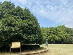 -灵谷景区