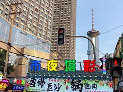 -辽宁电视塔