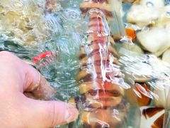 -钱塘府海鲜餐厅