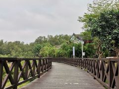 -大亚湾红树林城市湿地公园