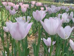 -廊坊文化艺术中心