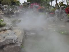 -东莞植物园
