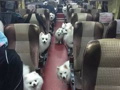 -汪营鸭杂(东风大道店)