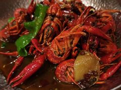 金奖麻辣油焖小龙虾-清水亭湖北菜(大屯DT51店)