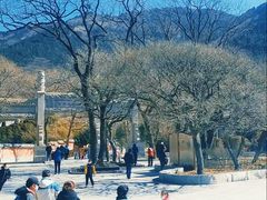 -青岛崂山太清宫