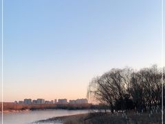 -大兴滨河森林公园
