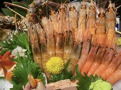 -極上萬膳·日料放题(海岸城店)