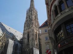 -斯蒂芬主教座堂(Stephansdom)