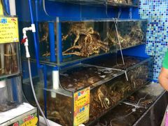 -蚝专家(北滘店)
