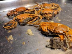 -韩盛炭火烤肉(万达广场店)