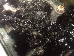 -马路边上·小海鲜烧烤(八一路店)