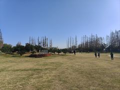 -前小桔亲子创意农场·草莓采摘·露营烧烤