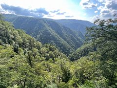 -凤凰山国家森林公园